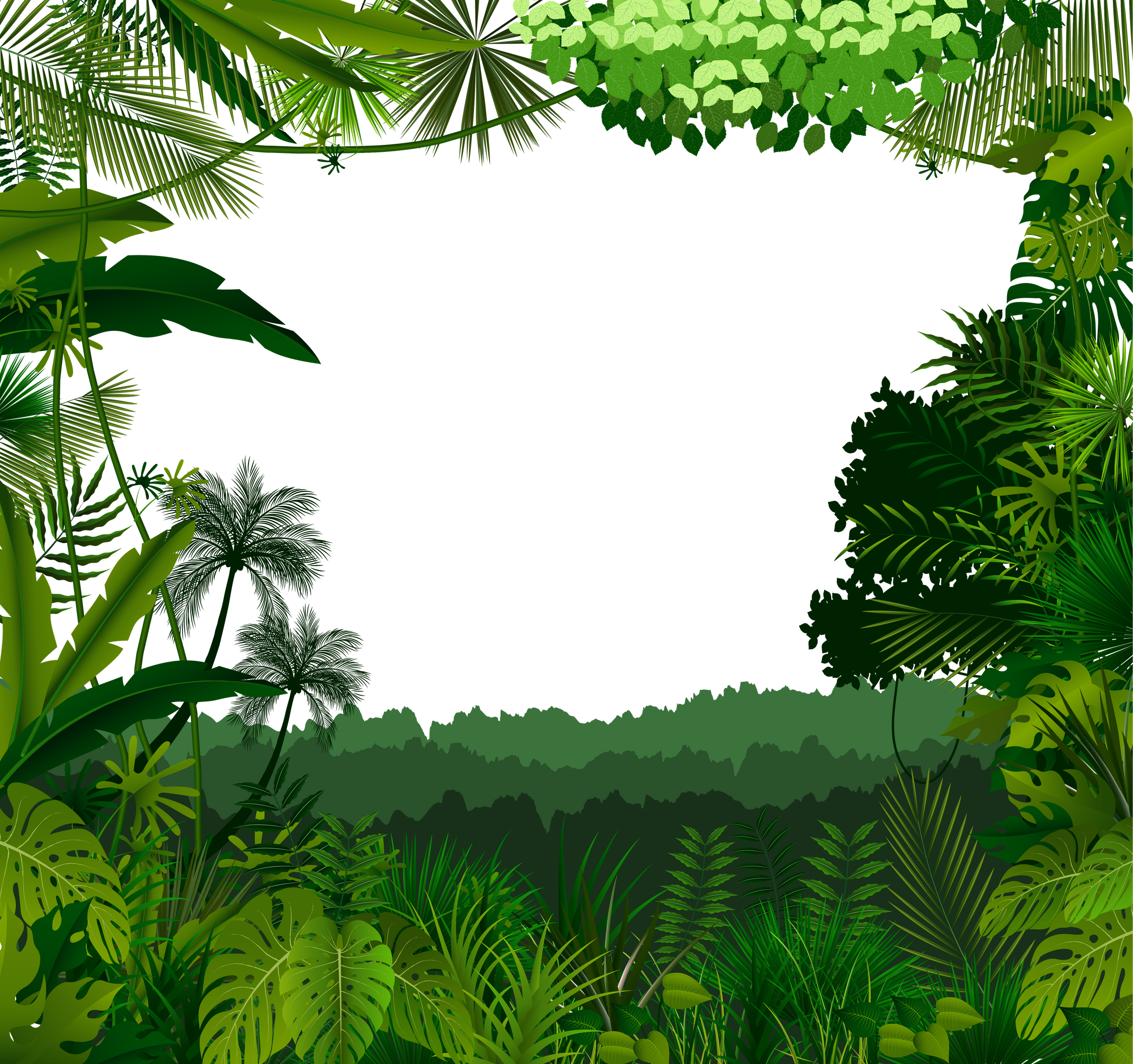 Tropical Jungle Background